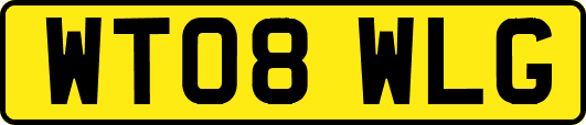 WT08WLG