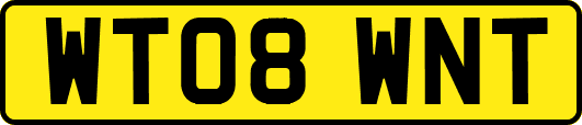 WT08WNT