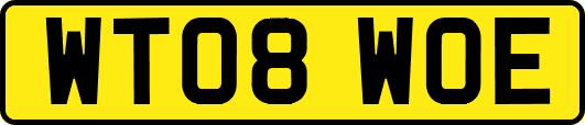 WT08WOE
