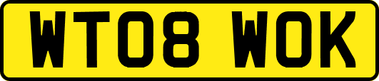 WT08WOK
