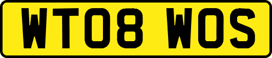 WT08WOS