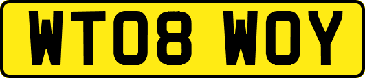 WT08WOY