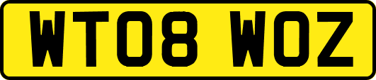WT08WOZ