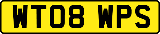 WT08WPS