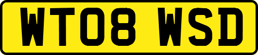 WT08WSD