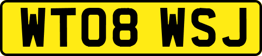 WT08WSJ