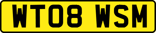 WT08WSM