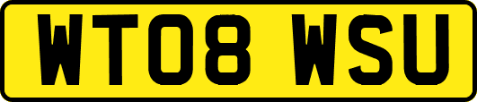 WT08WSU