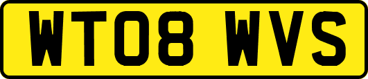 WT08WVS
