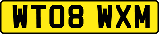 WT08WXM
