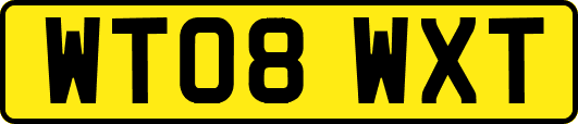 WT08WXT