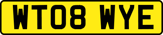 WT08WYE
