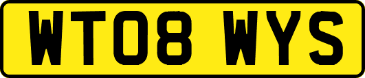 WT08WYS