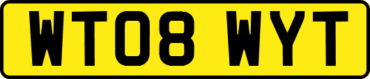 WT08WYT