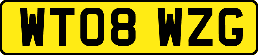 WT08WZG