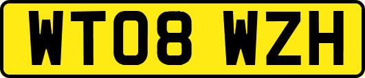 WT08WZH