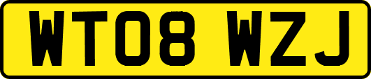WT08WZJ