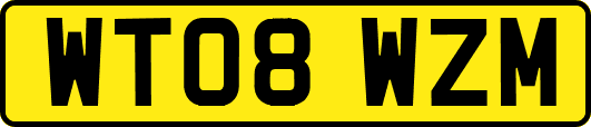 WT08WZM