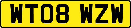 WT08WZW