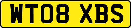 WT08XBS