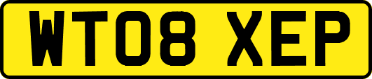 WT08XEP