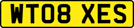 WT08XES