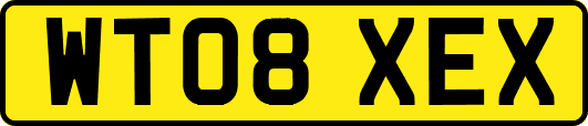 WT08XEX