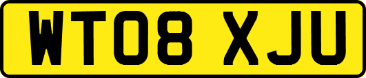 WT08XJU