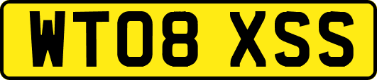 WT08XSS