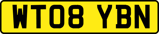 WT08YBN