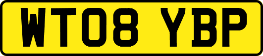 WT08YBP