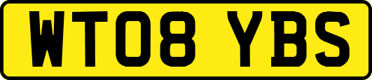 WT08YBS