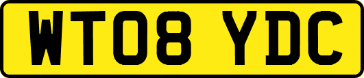 WT08YDC