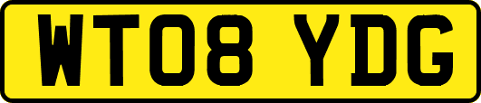 WT08YDG