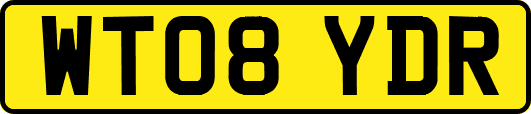 WT08YDR