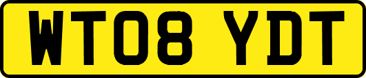 WT08YDT