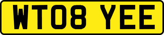 WT08YEE