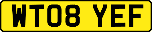 WT08YEF