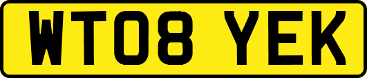 WT08YEK
