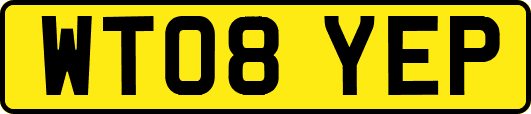 WT08YEP