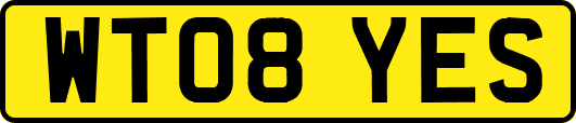 WT08YES