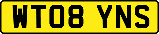 WT08YNS