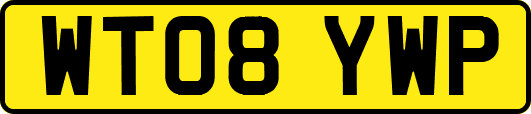 WT08YWP