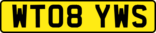 WT08YWS