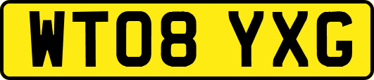 WT08YXG