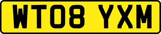 WT08YXM