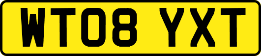 WT08YXT