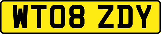 WT08ZDY