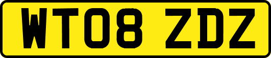 WT08ZDZ