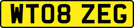WT08ZEG
